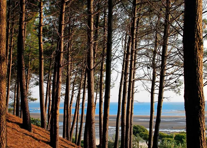 Maison 4 Avec Clim, Wi-fi A 5 Min De La A - Fr-1-420-124 Сasa de vacaciones *