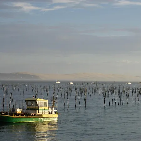 Maison 4 Avec Clim, Wi-fi A 5 Min De La A - Fr-1-420-124 * Arcachon