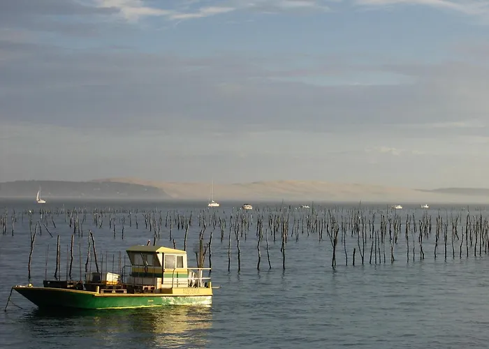 Maison 4 Avec Clim, Wi-fi A 5 Min De La A - Fr-1-420-124 別荘 アルカション